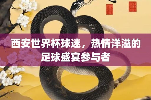 西安世界杯球迷，热情洋溢的足球盛宴参与者漯河市盈旭机械设备有限公司