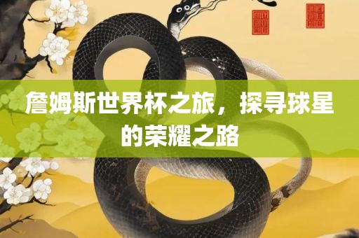 詹姆斯世界杯之旅，探寻球星的荣耀之路