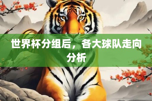 世界杯分组后，各大球队走向分析