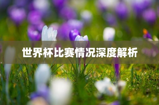 世界杯比赛情况深度解析漯河市盈旭机械设备有限公司