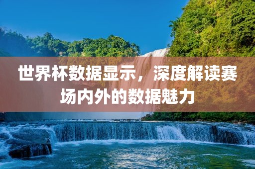 世界杯数据显示，深度解读赛场内外的数据魅力