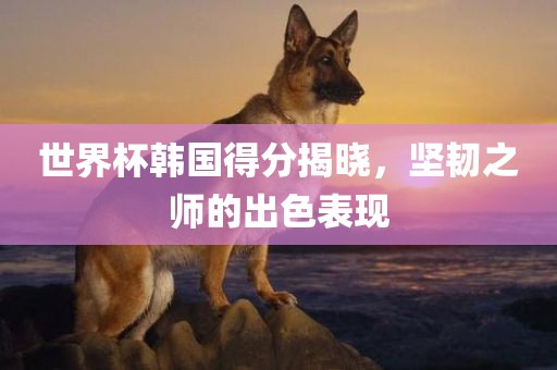 世界杯韩国得分揭晓，坚韧之师的出色表现