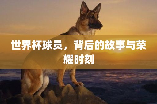 荣耀时刻 第6页