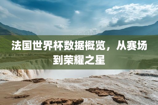 法国世界杯数据概览，从赛场到荣耀之星