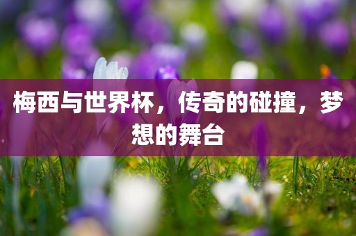 梅西与世界杯，传奇的碰撞，梦想的舞台