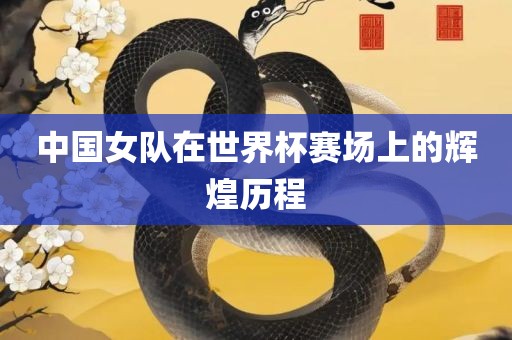 世界杯辉煌历程