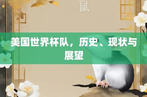 美国世界杯队，历史、现状与展望