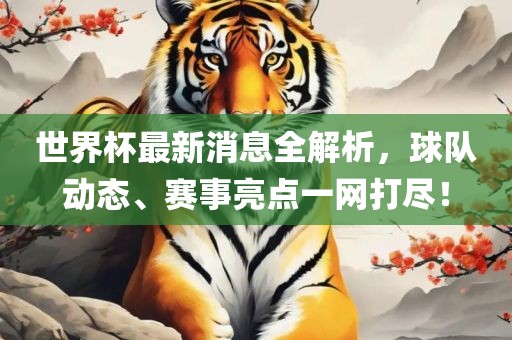 世界杯最新消息全解析，球队动态、赛事亮点一网打尽！漯河市盈旭机械设备有限公司