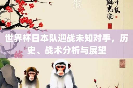 世界杯日本队迎战未知对手，历史、战术分析与展望