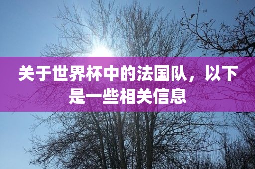 关于世界杯中的法国队，以下是一些相关信息漯河市盈旭机械设备有限公司