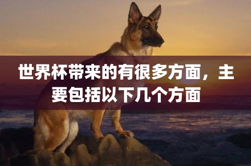 世界杯带来的有很多方面，主要包括以下几个方面