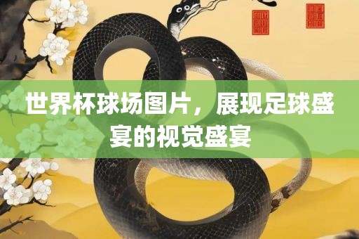 世界杯球场图片，展现足球盛宴的视觉盛宴