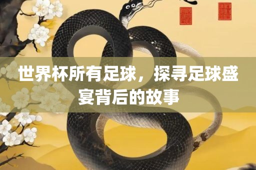 世界杯所有足球，探寻足球盛宴背后的故事漯河市盈旭机械设备有限公司