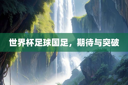 世界杯足球国足，期待与突破漯河市盈旭机械设备有限公司