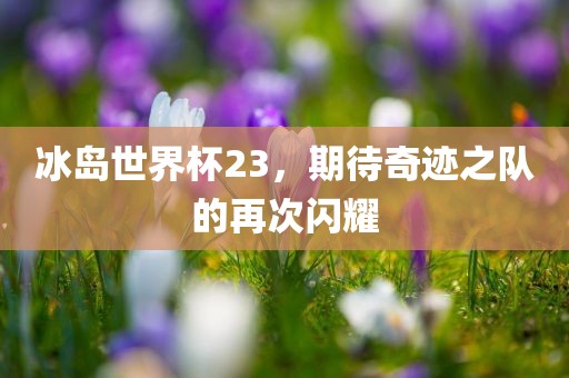 冰岛世界杯23，期待奇迹之队的再次闪耀