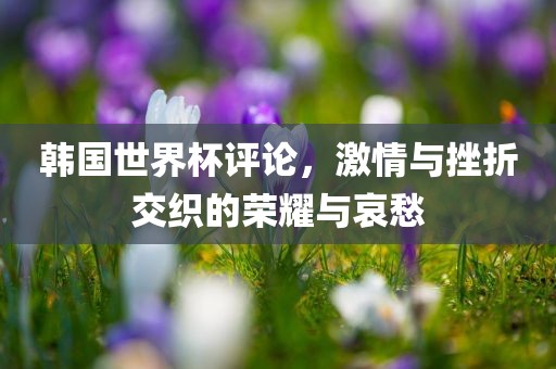 韩国世界杯评论，激情与漯河市盈旭机械设备有限公司挫折交织的荣耀与哀愁