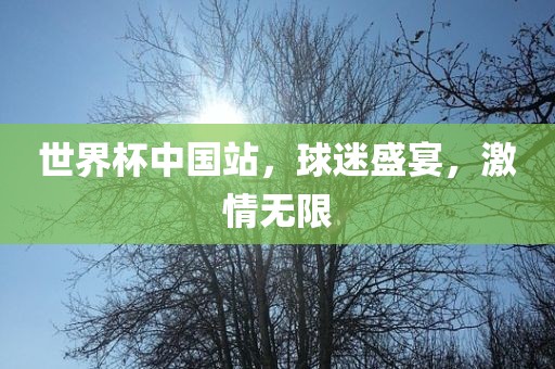 世界杯中国站，球迷盛宴，激情无限