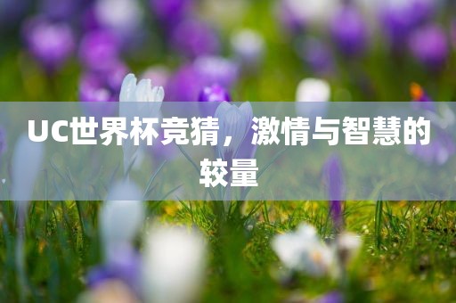 UC世界杯竞猜，激情与智慧的较量