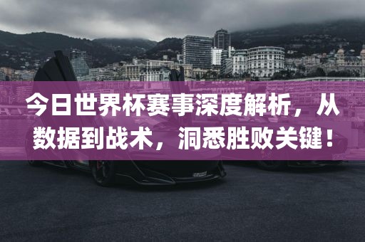 今日世界杯赛事深度解析，从数据到战术，洞悉胜败关键！漯河市盈旭机械设备有限公司