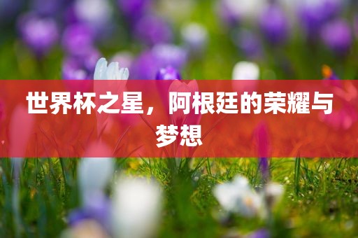 世界杯之星，阿根廷的荣耀与梦想