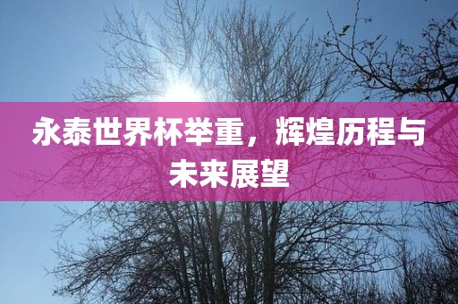 永泰世界杯举重，辉煌历程与未来展望