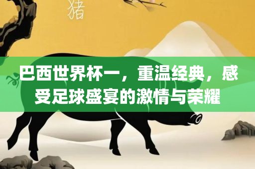 巴西世界杯一，重温经典，感受足球盛宴的激情与荣耀