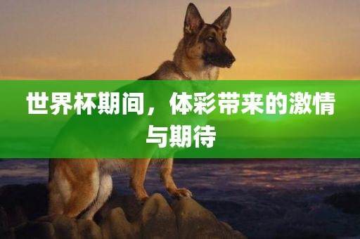世界杯期间，体彩带来的激情与期待