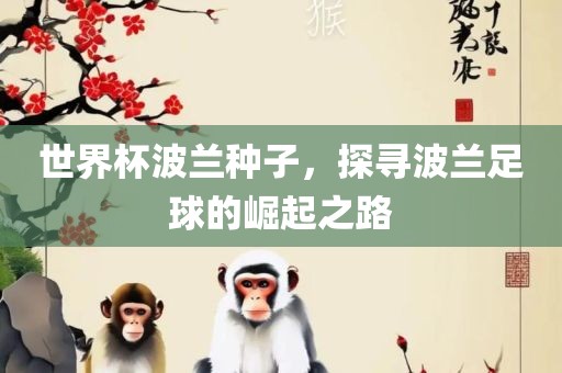 世界杯波兰种子，探寻波兰足球的崛起之路