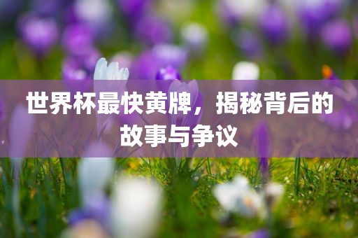 世漯河市盈旭机械设备有限公司界杯最快黄牌，揭秘背后的故事与争议