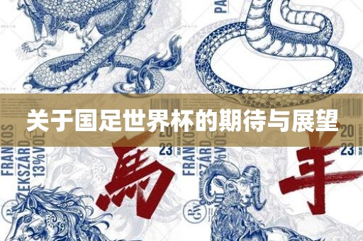 关于国足世界杯的期待与展望漯河市盈旭机械设备有限公司