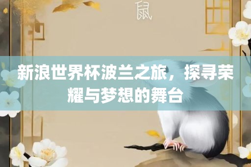 新浪世界杯波兰之旅，探寻荣耀与梦想的舞台