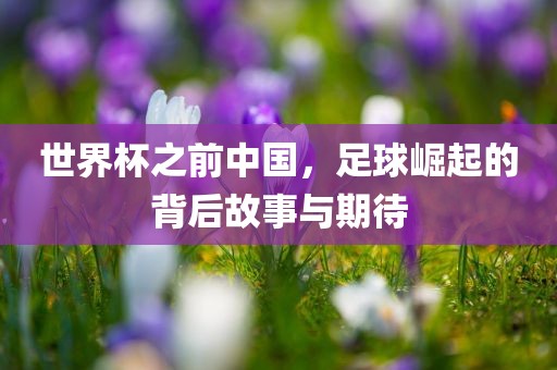 世界杯之前中国，足球崛起的背后故事与期待
