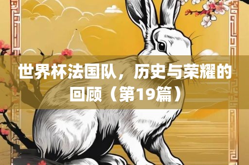 世界杯法国队，历史与荣耀的回顾（第19篇）