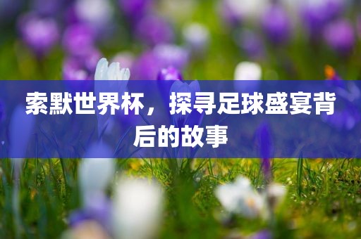 索默世界杯，探寻足球盛宴背后的故事