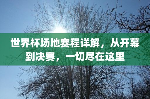 世界杯场地赛程详解，从开幕到决赛，一切尽在这里