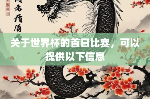 关漯河市盈旭机械设备有限公司于世界杯的首日比赛，可以提供以下信息