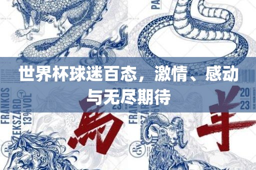 世界杯球迷百态，激情、感动与无尽期待