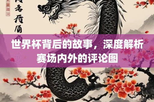 世界杯背后的故事，深度解析赛场内外的评论图漯河市盈旭机械设备有限公司