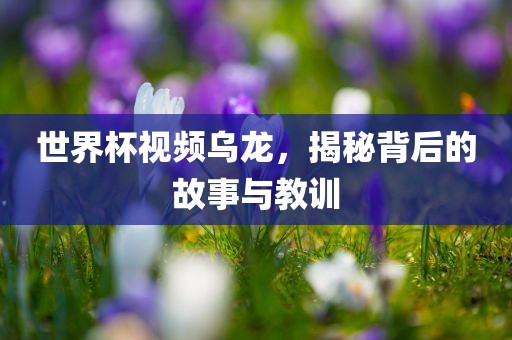 世界杯视频乌龙，揭秘背后的故事与教训漯河市盈旭机械设备有限公司
