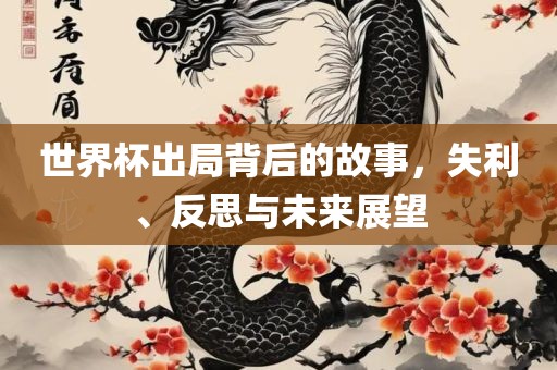 世界杯出局背后的故事，失利、反思与未来展望