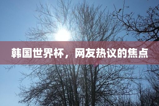 韩国世界杯，网友热议的焦点