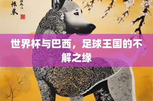 世界杯与巴西，足球王国的不解之缘漯河市盈旭机械设备有限公司