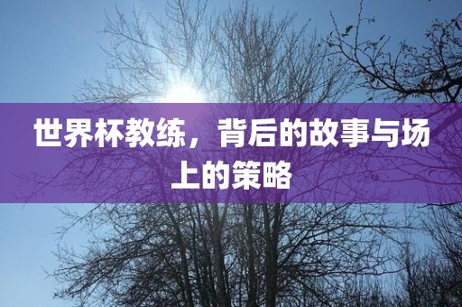 世界杯教练，背后的故事与场上的策略