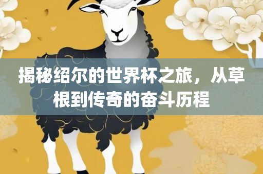 揭秘绍尔的世界杯之旅，从草根到传奇的奋斗历程漯河市盈旭机械设备有限公司