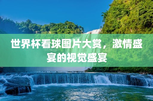 世界杯看球图片大赏，激情盛宴的视觉盛宴