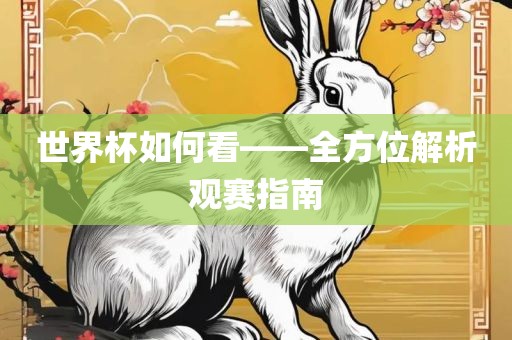 世界杯如何看——全方位解析观赛指南