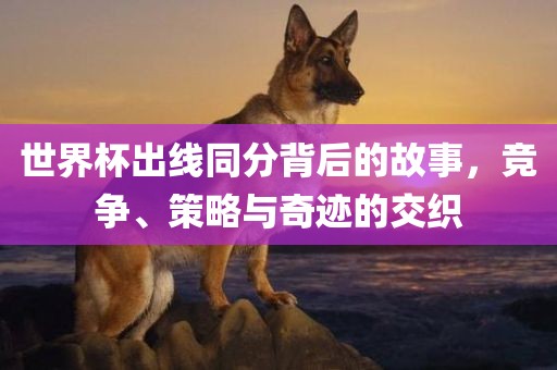 世界杯出线同分背后的故事，竞争、策略与奇迹的交织