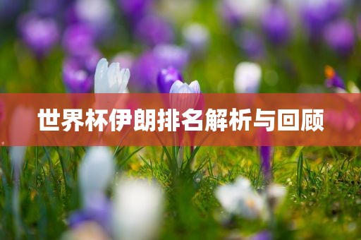 世界杯伊朗排名解析与回顾漯河市盈旭机械设备有限公司