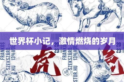 世界杯小记，激情燃烧的岁月