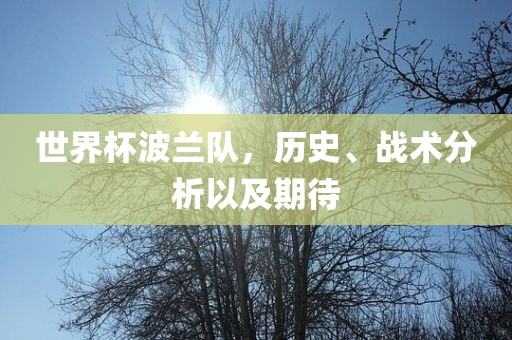 世界杯波兰队，历史、战术分析以及期待